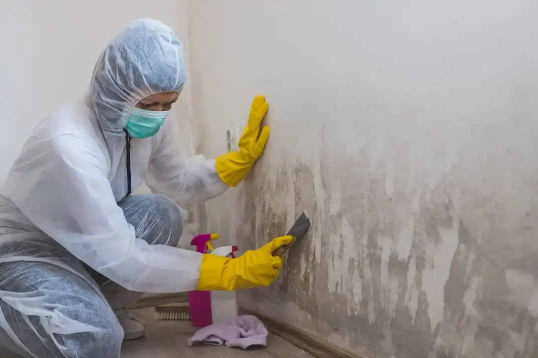 water damage restoration service Vista Hermosa